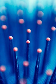 close up view of the center of a blue and red object with small dots on it