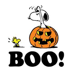 a cartoon dog sitting on top of a pumpkin with the word boo written below it