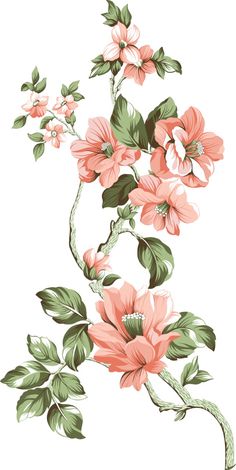 pink flowers with green leaves and buds on a white background, in the style of chinese painting