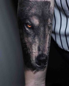 a man's arm with a wolf tattoo on it, and an orange eye