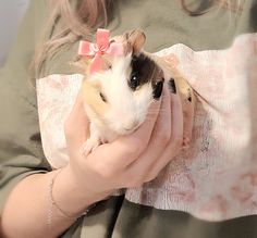 a woman holding a small hamster in her arms with a pink bow on it's head