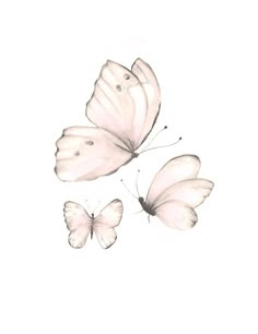 three white butterflies flying in the air with their wings spread out and one is on top of