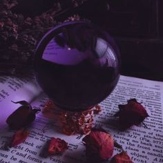 a glass of wine sitting on top of an open book next to some dried flowers