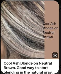 Platinový Blond, Grey Transition, Cool Ash Blonde, Ash Blonde Hair Colour, Long Shag, Chunky Highlights, Ashy Blonde, Ash Blonde Highlights, Blond Balayage