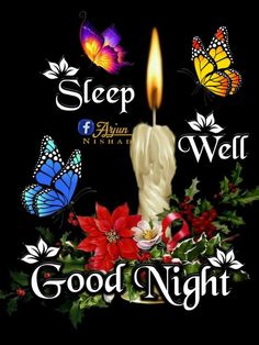 a candle that is sitting on top of some flowers and butterfly wings with the words good night written below it