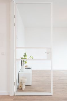 a white room with a plant in the corner and a mirror on the wall next to it