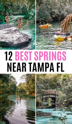 Best Natural Springs to Visit Near Tampa Florida Natural Springs In Florida, Springs In Florida, Florida Vacation Spots, Kelly Park, Florida Getaway, Florida Attractions