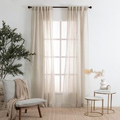 a white living room with two chairs and a tree in the corner, next to a window