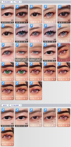 an image of different types of eyes in the computer screener's view window