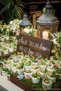 there are many potted plants on display at the table with a sign that says please take one home and let your grow