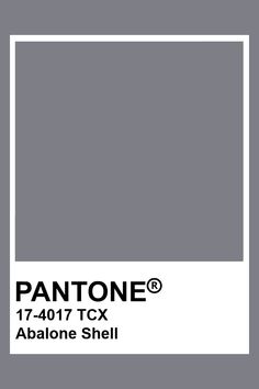 the pantone color is shown in gray and white, with black lettering on it