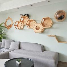 a living room with grey couches and wooden shelves on the wall above them is a coffee table