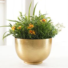 a potted plant sitting on top of a white table next to a window with yellow flowers in it