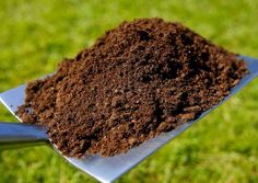 a spoon filled with dirt sitting on top of a green field