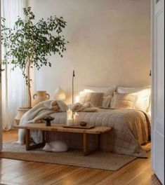 a bedroom with a bed, coffee table and potted plant