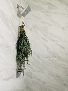 a shower head with plants hanging from it