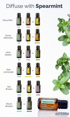 Spearmint Diffuser Blends, Spearmint Essential Oil, Essential Oil Diffuser Recipes, Oil Diffuser Recipes