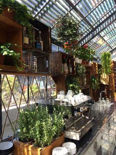 the inside of a greenhouse with plants and pots