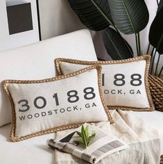 two pillows sitting on top of a white couch next to a potted green plant