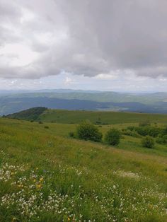 an open field with wildflowers and mountains in the distance