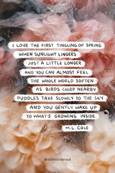 A poem about the first sensation of Spring after a long Winter, with new seasons ahead and new perspectives budding within 🌱🌸✨ About Spring, Spring Thoughts, Spring Feels, Quotes Spring, Spring Forward Quotes, Seasons Quotes, Spring Forward 2024, Cute Spring Quotes, New Season