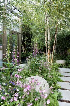 the garden is full of flowers and plants, including pinks and purples in bloom