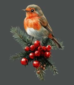 a bird sitting on top of a christmas tree branch with berries and pine cones around it