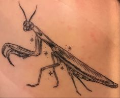 a drawing of a praying mantissa on the back of a woman's shoulder