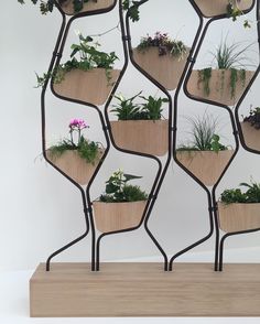 a wooden shelf with plants growing in it and hanging from the sides on metal rods