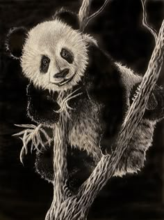 a black and white drawing of a panda bear on a tree branch