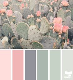 the color palette is pink, green and gray with cactus flowers in it's center