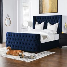 a dog laying on the floor in front of a bed with blue headboard and foot board