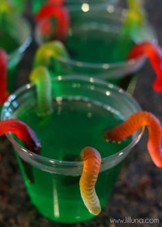 the caterpillars are sitting in cups on the table