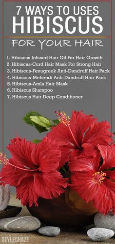 Hibiscus For Hair, Hibiscus Benefits, Hibiscus Hair, Ayurveda Hair, Deep Hair Conditioner, Hair Dandruff, Hair Pack, Hair Control, Hair Vitamins