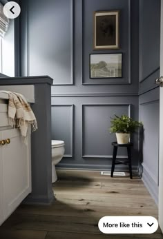 a white toilet sitting in a bathroom next to a wooden floor