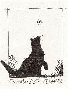 a black and white drawing of a cat looking at a butterfly