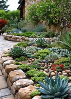 a garden with rocks and succulents is shown in front of a house