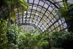 the inside of a building with lots of trees and plants on it's sides