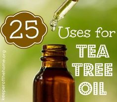 25 Uses for Tea Tree Oil - Keeper of the Home #teatreeoil Ugly Makeup, Makeup Quote, Tea Tree Oil Uses, Magic Oil, Treating Acne, Mosquito Bites, Tee Tree, Young Living Oils, Big Pharma