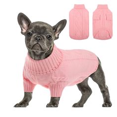 a small dog wearing a pink sweater and matching mittens