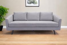 a gray couch sitting on top of a wooden floor next to a potted plant