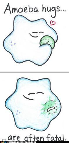 two pictures of the same tooth with different stages of decay on them, one is green and the other is white