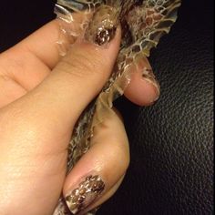 My snake just shed his skin and now I am totally gonna do this! Real snake skin nails! Snake Ashtray, Snake Skin Nails, Snake Shedding, Skin Nails, The Snake, Nail Inspiration, My Nails, Nails Inspiration