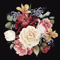 a bouquet of flowers painted in watercolor on a black background stock photo - 9579