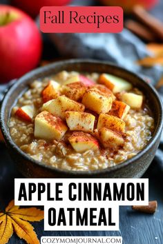 Bowl of apple cinnamon oatmeal topped with apple slices and sprinkled with cinnamon, surrounded by fall-themed decor. Homemade Oatmeal Healthy, Crockpot Breakfast Healthy, Oatmeal With Apples And Cinnamon, Apple And Cinnamon Oatmeal, Nutritional Breakfast Ideas, Fall Oatmeal Recipes, Oatmeal Easy Recipes, Stove Top Oatmeal Recipes, Hot Oatmeal Recipes