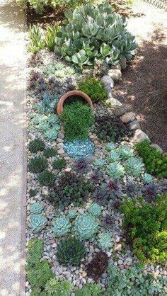 a garden filled with lots of different types of plants