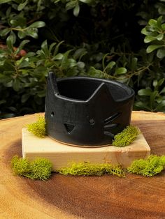 a black cat hat sitting on top of a wooden stump with moss growing around it