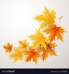 an autumn background with maple leaves - seasons / holidays conceptualistic objects, leaf shapes