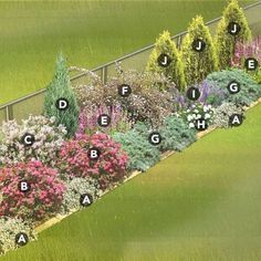 a garden with many different types of flowers and plants in it, including the names of each