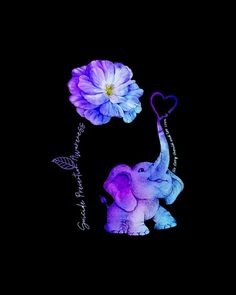 an elephant holding a flower in its trunk with the word love on it's side